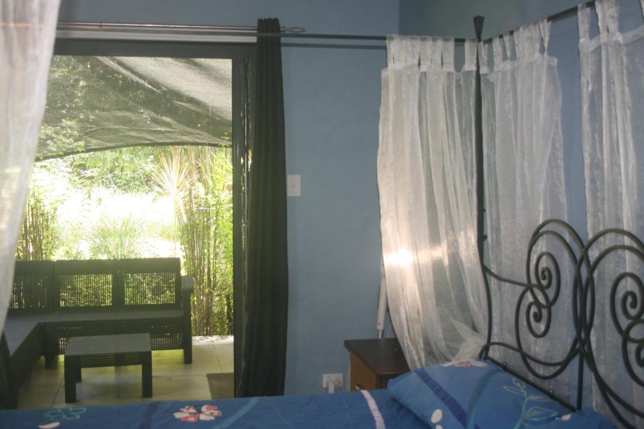 Daintree Rainforest Accommodation Cow Bay المظهر الخارجي الصورة