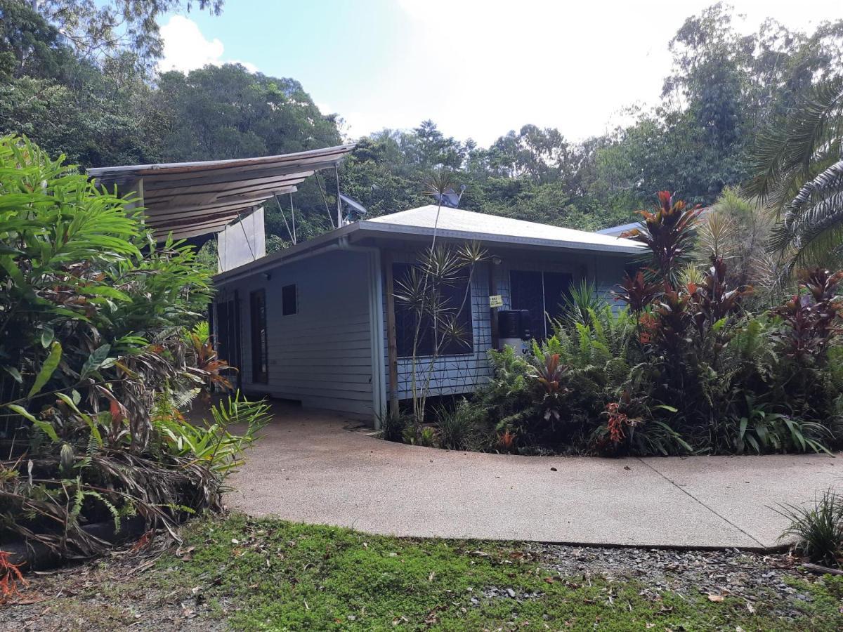 Daintree Rainforest Accommodation Cow Bay المظهر الخارجي الصورة