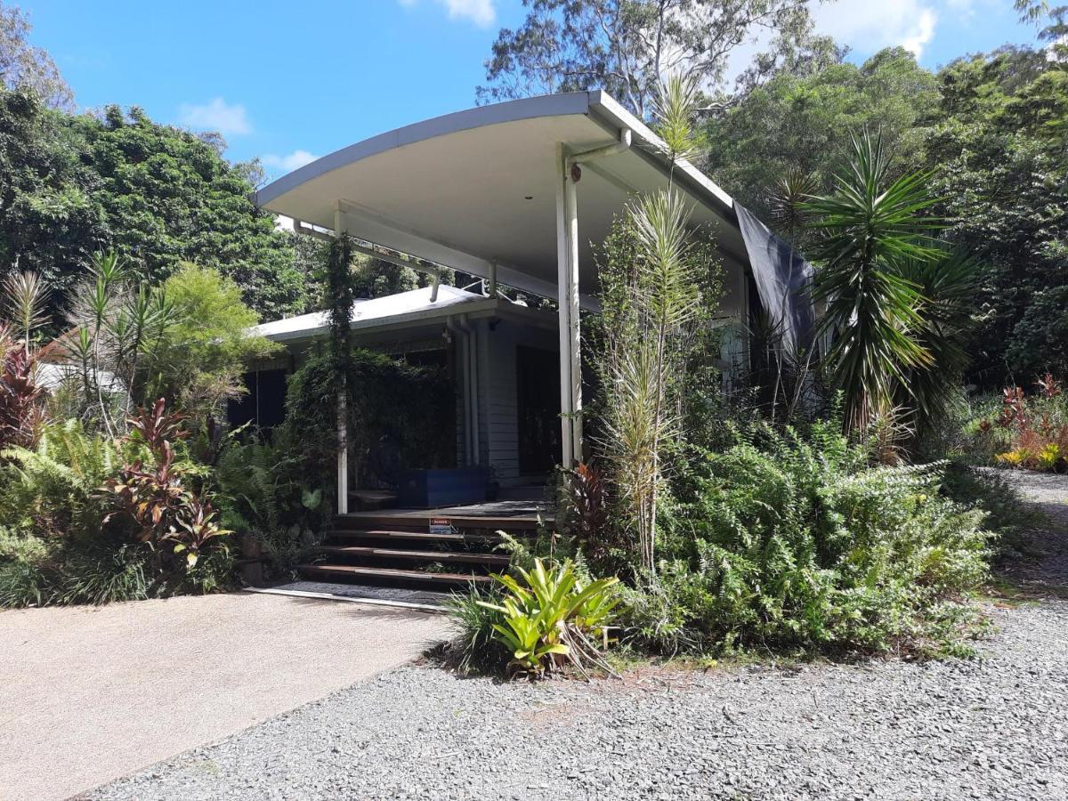 Daintree Rainforest Accommodation Cow Bay المظهر الخارجي الصورة